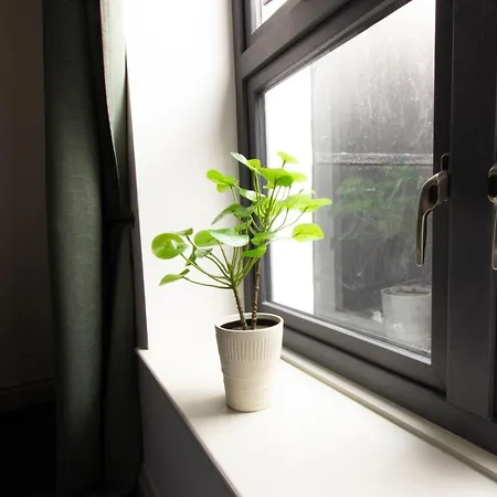 Modern And Spacious 4 Bedroom House In Connelly Station Apartment *